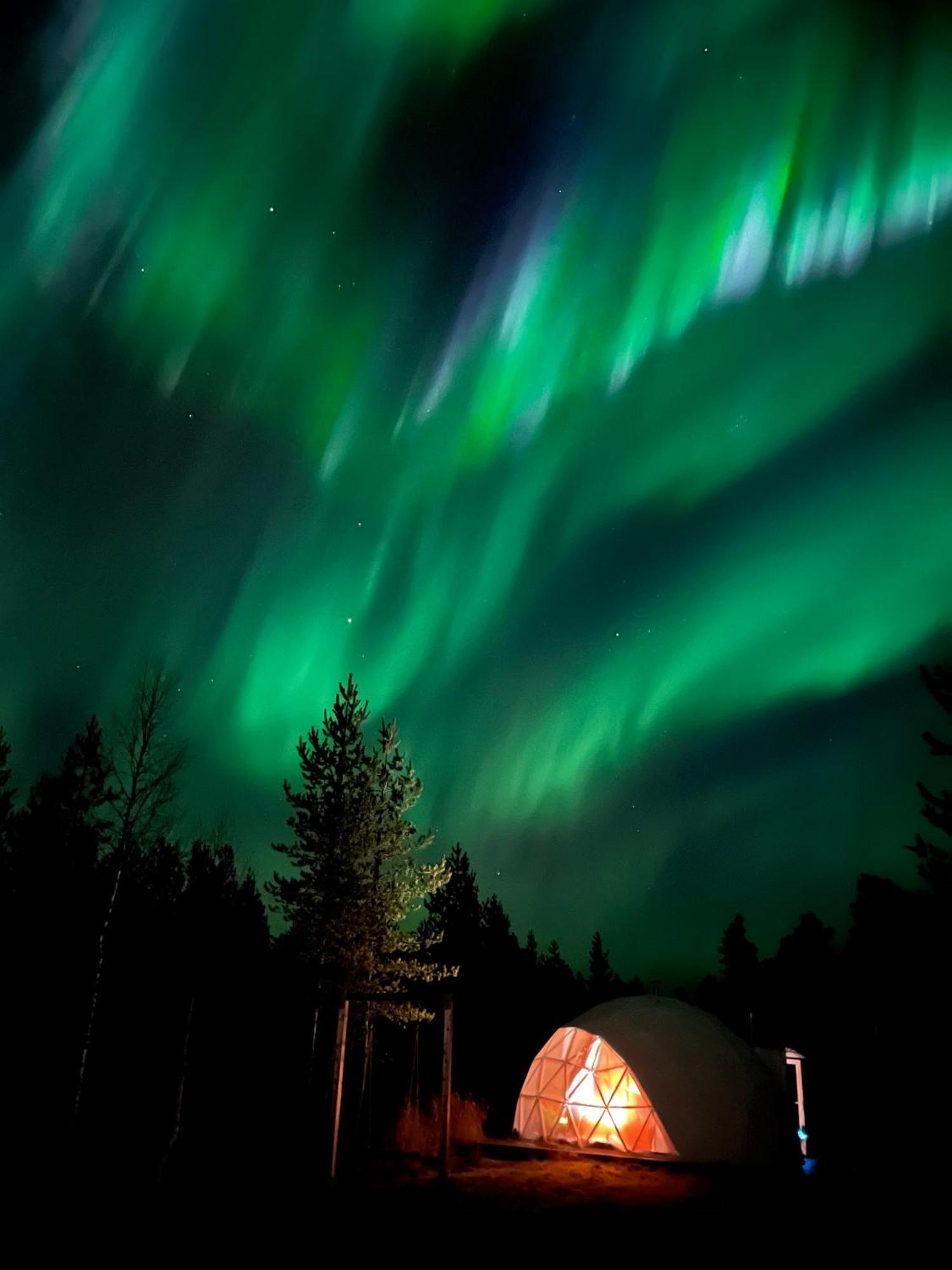 Pandomes Aurora Igloo Hotel Rovaniemi Exterior foto